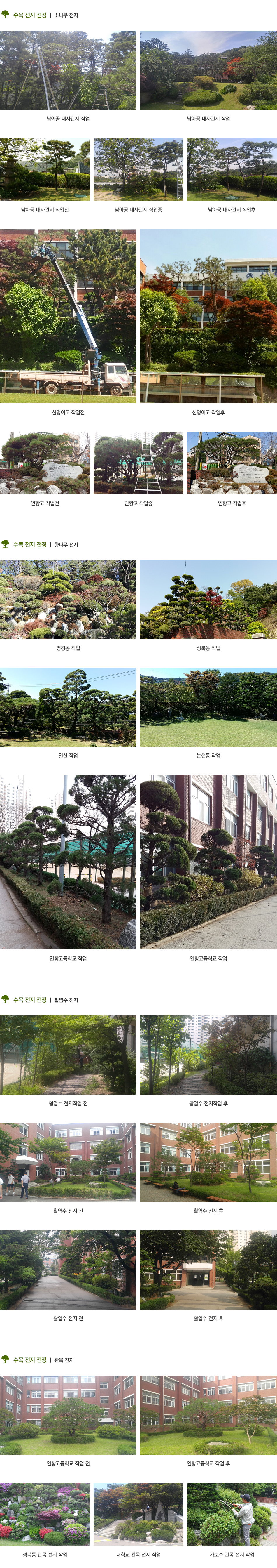 수목전지전정.png